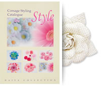 Catalog image